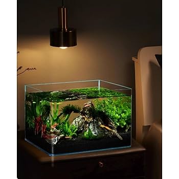 Amazon | GrnArt 透明金魚鉢、メダカ水槽 10L ガラス容器 (30*18